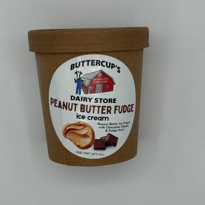 Peanut Butter Fudge Ice Cream